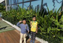 「放し飼いの牛とカンボジアの新年の季節」カンボジア孤児院便り