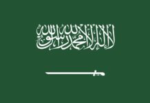 サウジ東西パイプラインが停止 ドローン攻撃で供給懸念